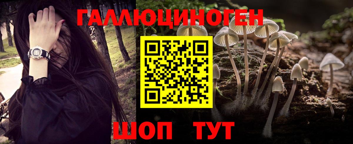Псилоцибиновые грибы GOLDEN TEACHER Лысьва